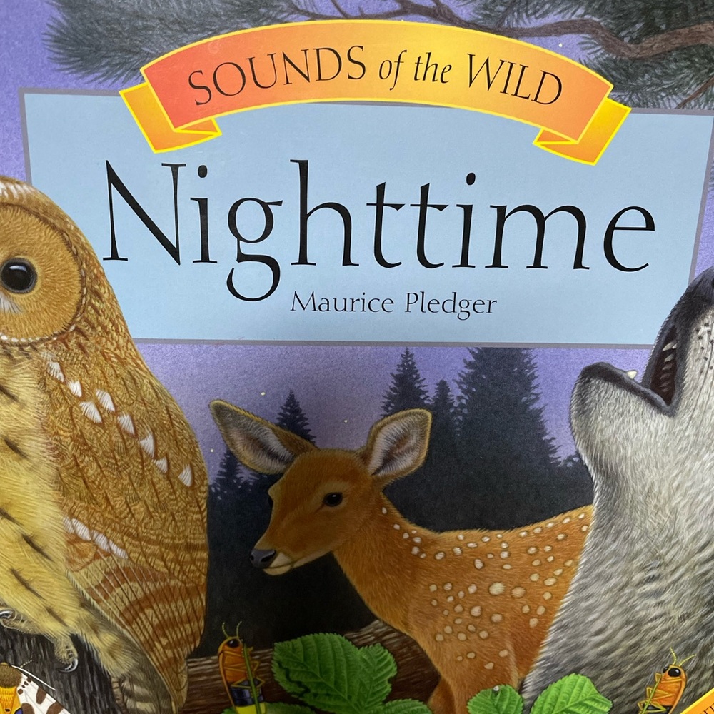 Kids books with sound 2 of them used in Avery good condition